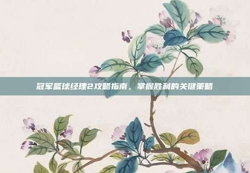 冠军篮球经理2攻略指南,掌握胜利的关键策略