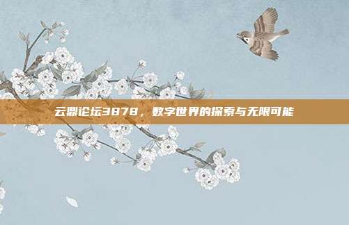 云鼎论坛3878,数字世界的探索与无限可能