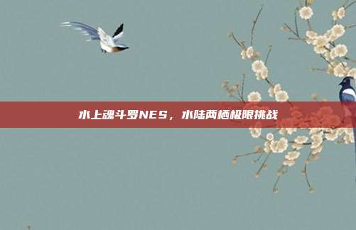 水上魂斗罗NES,水陆两栖极限挑战