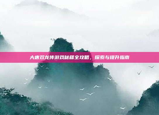 大唐双龙传游戏秘籍全攻略,探索与提升指南