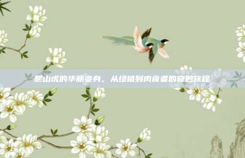 爬山虎的华丽变身,从绿植到肉食者的奇妙旅程