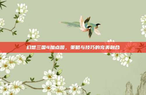 幻想三国4加点图,策略与技巧的完美融合