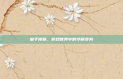 皇子皮肤,游戏世界中的华丽变身