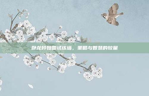 卧龙吟魏国试练塔,策略与智慧的较量