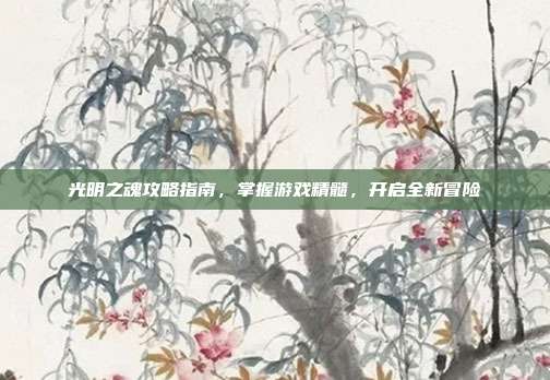光明之魂攻略指南,掌握游戏精髓,开启全新冒险
