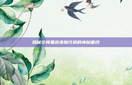 揭秘空间黑色皮肤代码的神秘面纱