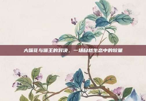 大嘴花与僵王的对决,一场自然生态中的较量