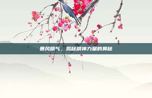 暴风精气,揭秘精神力量的奥秘