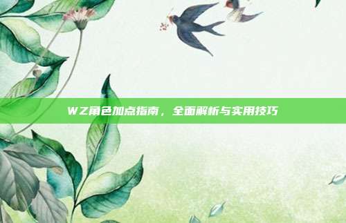 WZ角色加点指南,全面解析与实用技巧