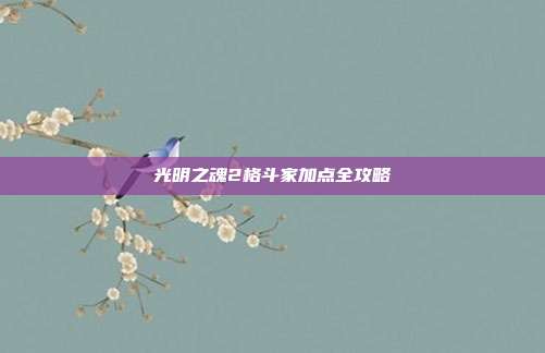 光明之魂2格斗家加点全攻略