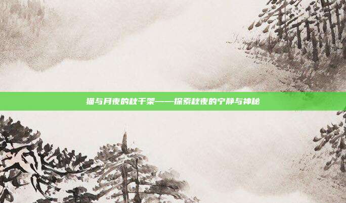 猫与月夜的秋千架——探索秋夜的宁静与神秘