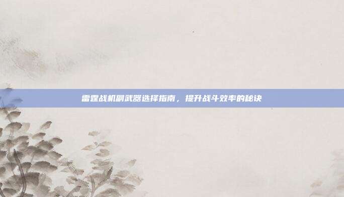 雷霆战机副武器选择指南,提升战斗效率的秘诀
