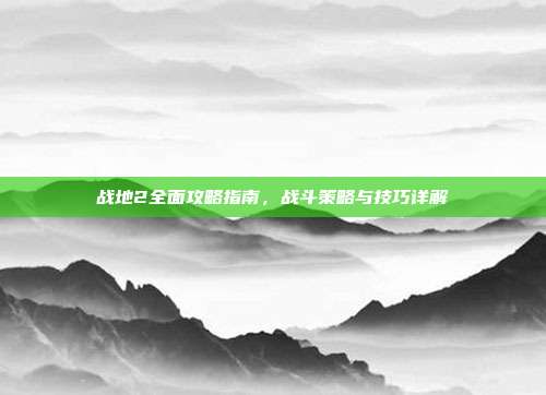 战地2全面攻略指南,战斗策略与技巧详解