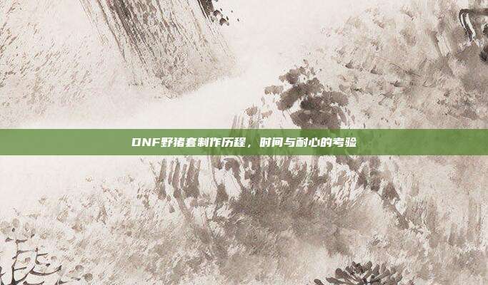 DNF野猪套制作历程,时间与耐心的考验