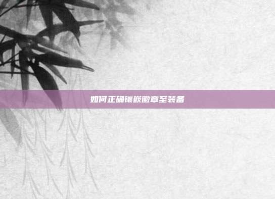 如何正确镶嵌徽章至装备