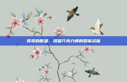 哥哥的愿望,渴望巧克力棒的甜蜜滋味