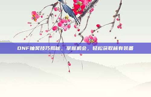 DNF抽奖技巧揭秘,掌握机会,轻松获取稀有装备