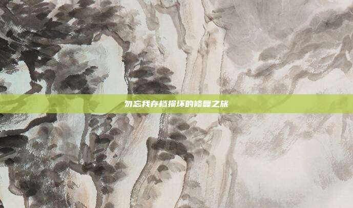 勿忘我存档损坏的修复之旅