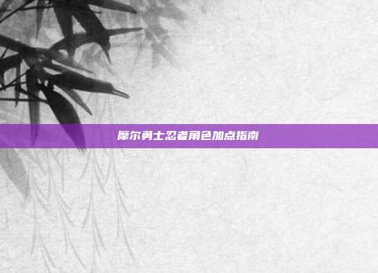 摩尔勇士忍者角色加点指南