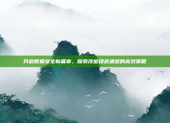开启数据安全新篇章,探索改密绿色通道的高效策略
