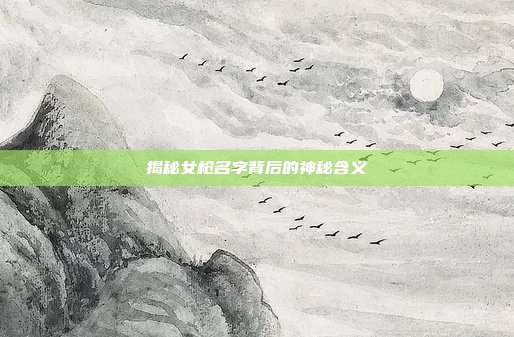 揭秘女枪名字背后的神秘含义