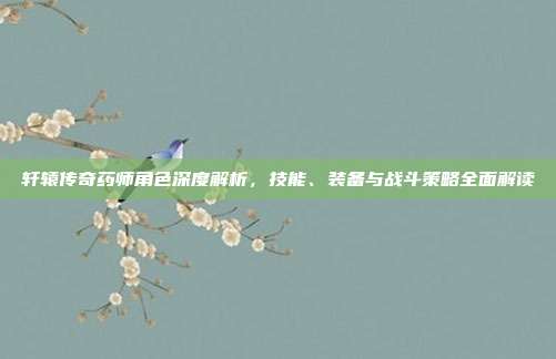 轩辕传奇药师角色深度解析,技能、装备与战斗策略全面解读