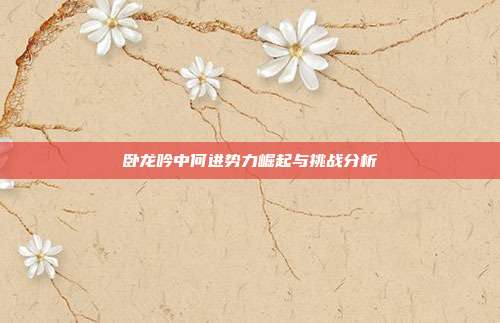 卧龙吟中何进势力崛起与挑战分析