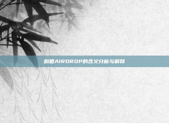 粉圈AIRDROP的含义分析与解释