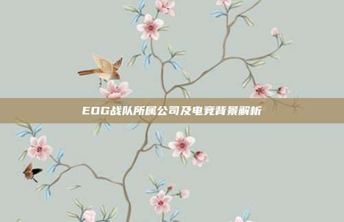 EDG战队所属公司及电竞背景解析
