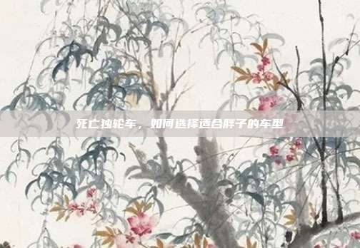死亡独轮车,如何选择适合胖子的车型