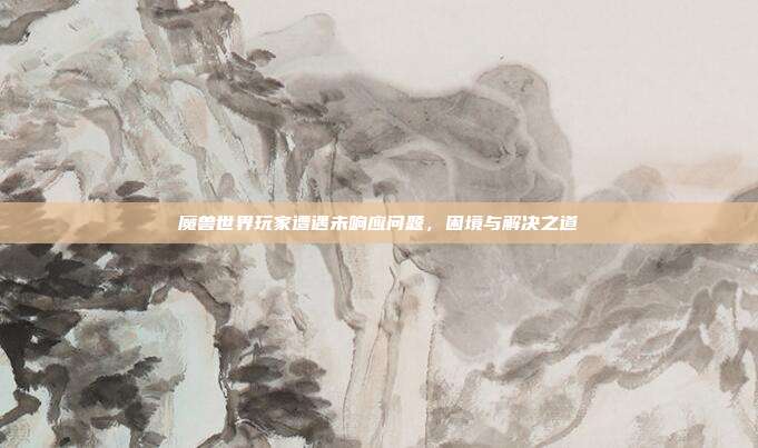 魔兽世界玩家遭遇未响应问题,困境与解决之道