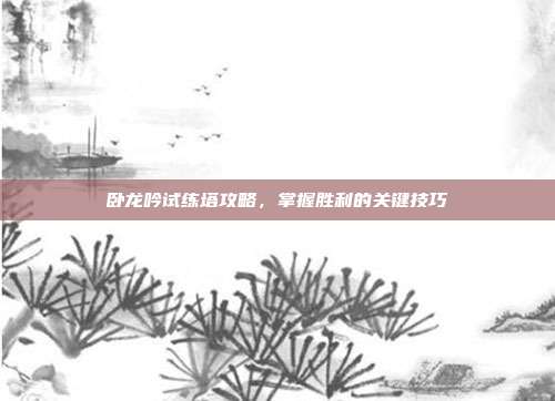 卧龙吟试练塔攻略,掌握胜利的关键技巧
