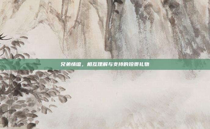兄弟情谊,相互理解与支持的珍贵礼物