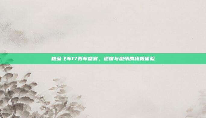 极品飞车17赛车盛宴,速度与激情的终极体验