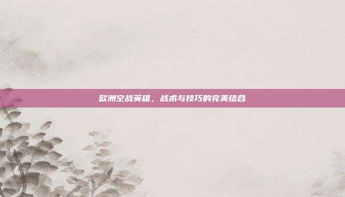 欧洲空战英雄,战术与技巧的完美结合
