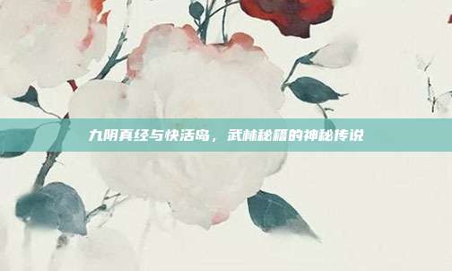 九阴真经与快活岛,武林秘籍的神秘传说