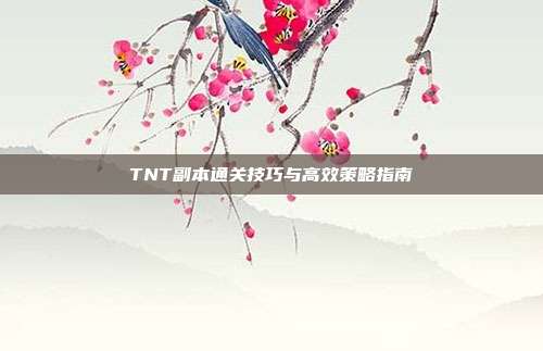 TNT副本通关技巧与高效策略指南