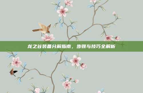 龙之谷装备分解指南,步骤与技巧全解析