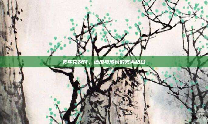 赛车兑换符,速度与激情的完美结合