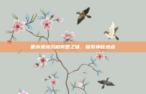 黑水港湾沉船冥想之谜,探索神秘地点