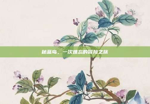 秘蓝岛,一次难忘的冒险之旅