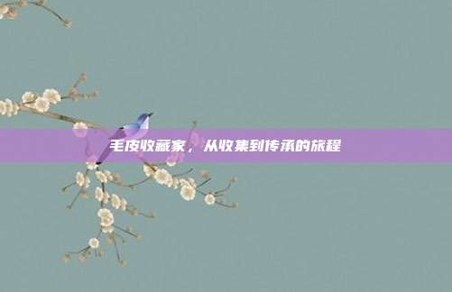 毛皮收藏家,从收集到传承的旅程