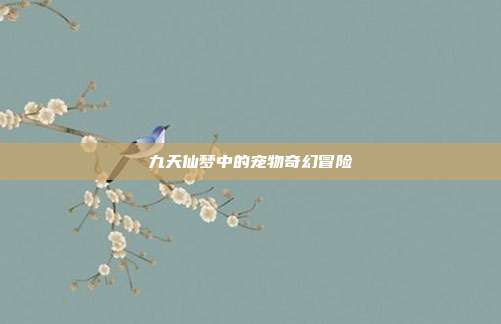 九天仙梦中的宠物奇幻冒险