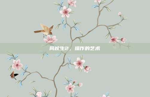 同校生2,操作的艺术