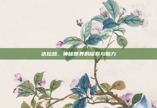 达拉然,神秘世界的探索与魅力