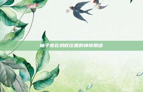 柚子皮在蚂蚁庄园的神奇用途