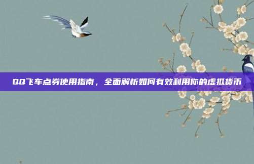 QQ飞车点券使用指南,全面解析如何有效利用你的虚拟货币
