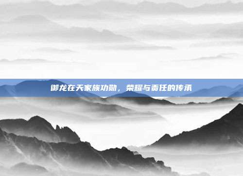 御龙在天家族功勋,荣耀与责任的传承