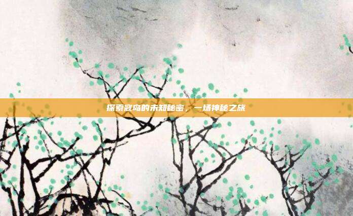 探索寇岛的未知秘密,一场神秘之旅