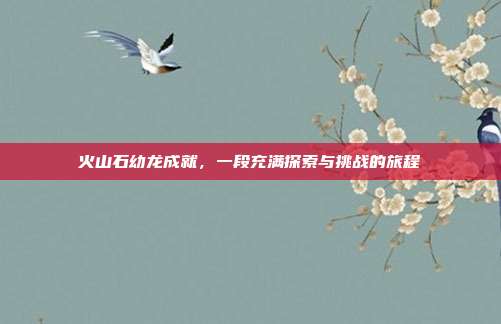 火山石幼龙成就,一段充满探索与挑战的旅程